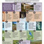 environmental issues