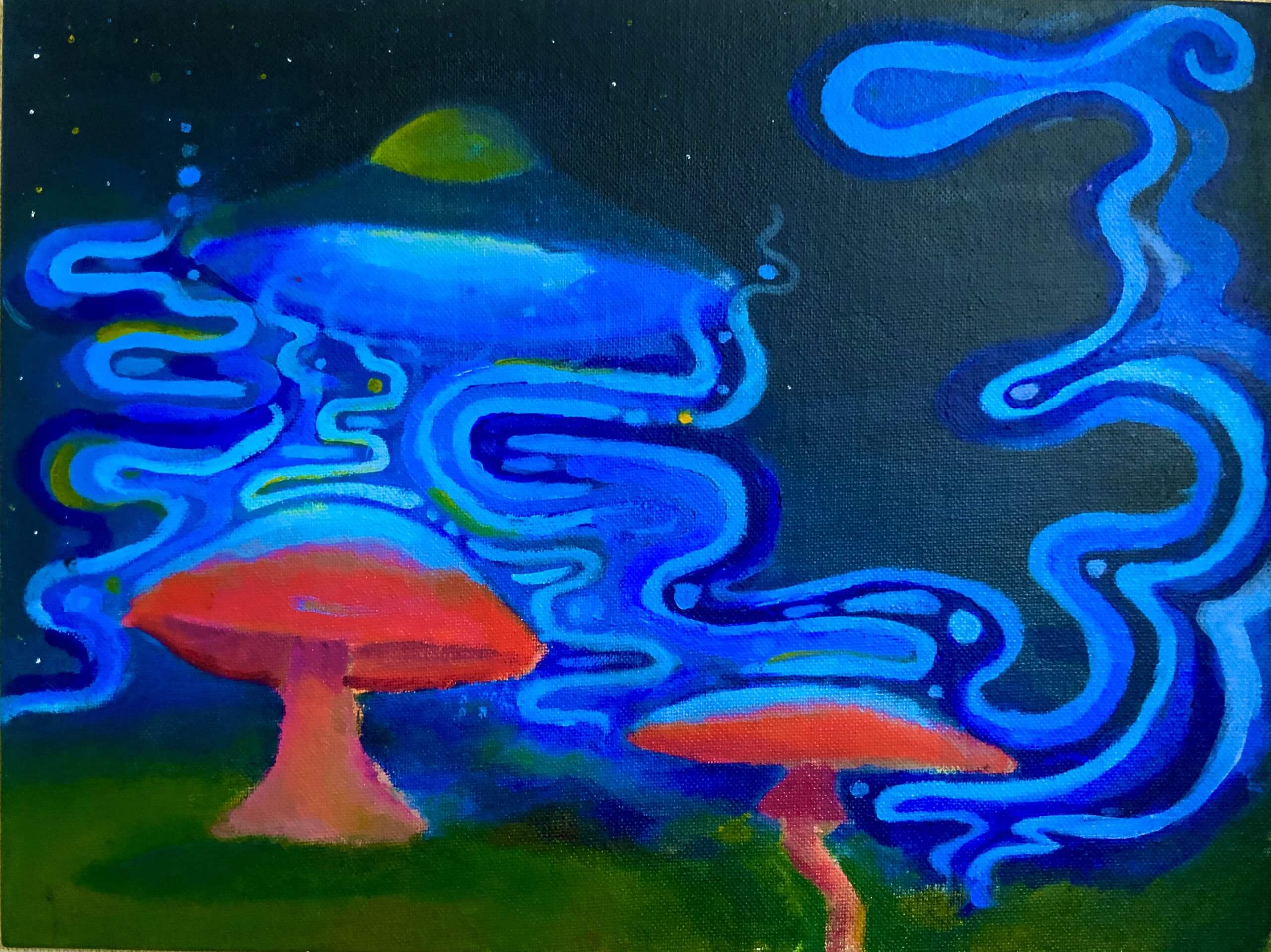 Makayla Richardson, "Forgotten Fungi," Acrylic, 12" x 16"