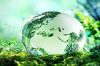 Environmental Issues Seminar — Socio-cultural Community Sustainability