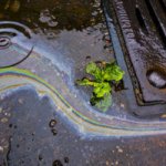 Environmental Issues Seminar — MS4 Stormwater Discharges from Municipal Sources.