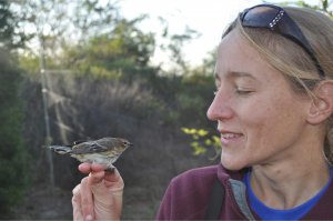 Environmental Issues Seminar — Bird Conservation Across Connecticut